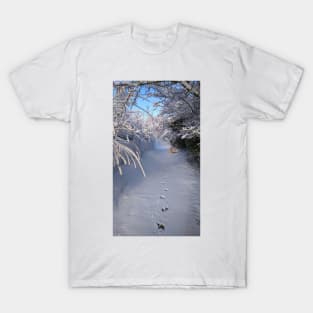 SOLITARY SNOW WINTER SCENE T-Shirt